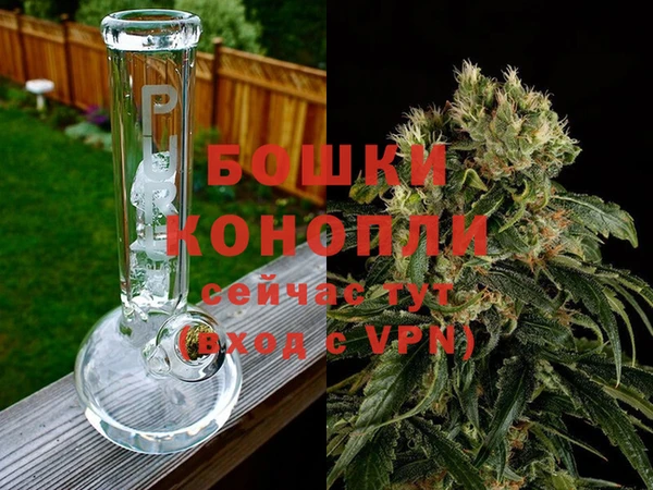 хмурый Гатчина