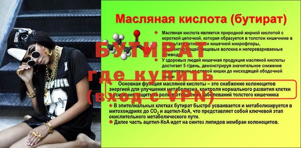 хмурый Гатчина