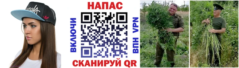 купить наркотики сайты  Котельнич  Бошки марихуана MAZAR 